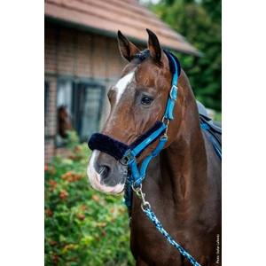 Schockemohle Halter Melbourne Soft Style &ndash; Colonial Blue 