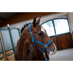 Schockemohle Halter Memphis Style III &ndash; Colonial Blue 
