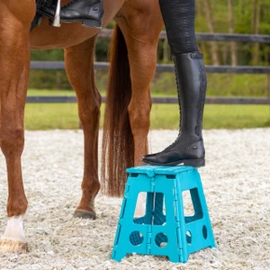 QHP Step-up stool - Turquoise in Turquoise