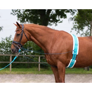 QHP Lunge line in bag Sky 