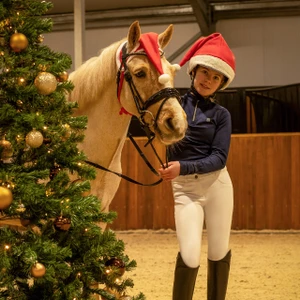 QHP Christmas hat horse - Red 