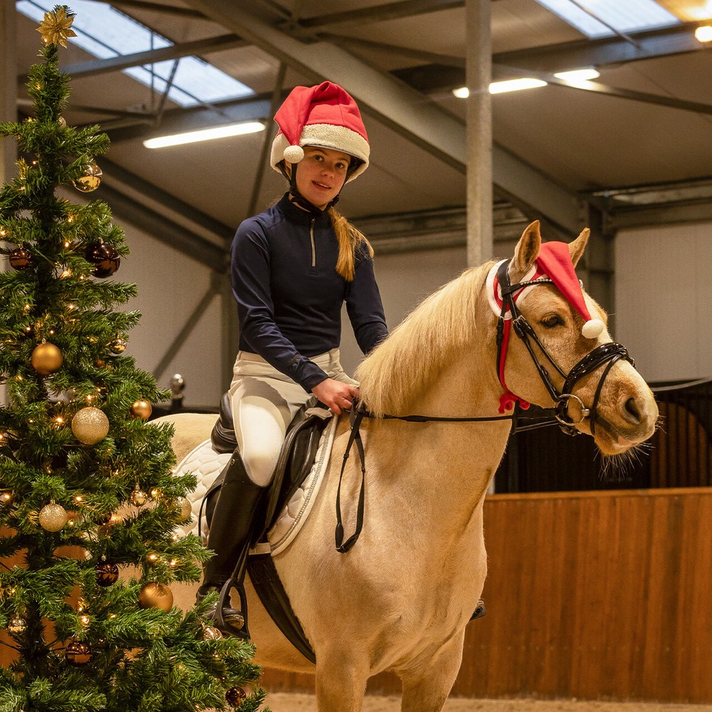 QHP Christmas hat horse - Red