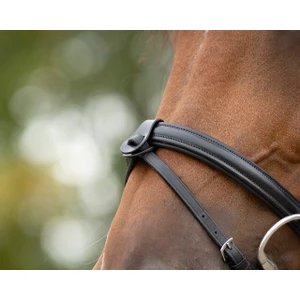 QHP Flash noseband loop - Black 