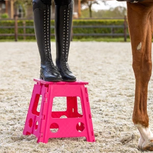 QHP Step-up stool - Fuchsia 