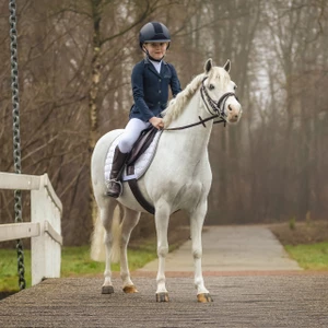 QHP Complete saddle set Melbourne Brown Pony 