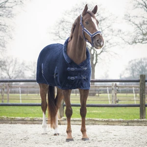 QHP Show rug Sensisoft Navy in Navy