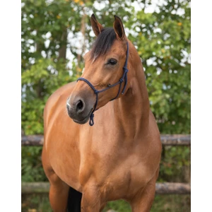 Q-essentials Rope Halter Basic - Navy in Navy