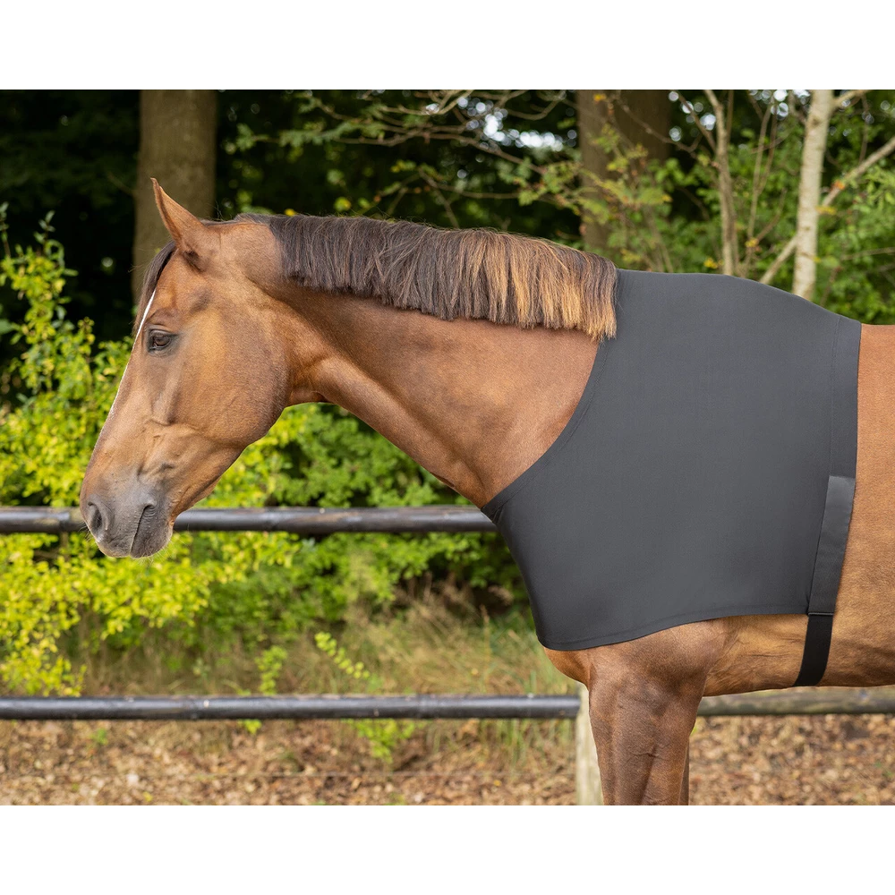 Q-essentials Chestprotector elastic - Black in Black