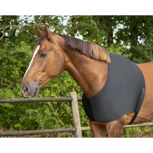 Q-essentials Chestprotector elastic - Black 