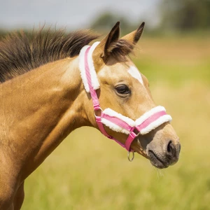 Q-essentials Head Collar Foal With Fur - Pink in Pink