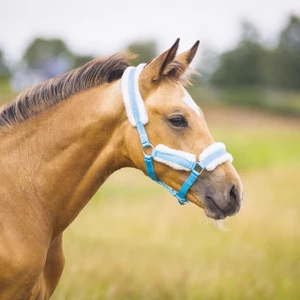 Q-essentials Head Collar Foal With Fur - Baby-Blue in Baby-blue