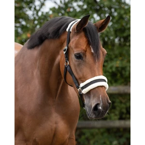 Q-essentials Head Collar Cali - Black in Black