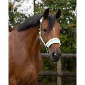 Q-essentials Head Collar Cali - Turquoise in Turquoise