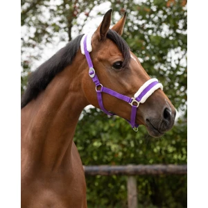 Q-essentials Head Collar Cali - Passion Flower in Passion Flower