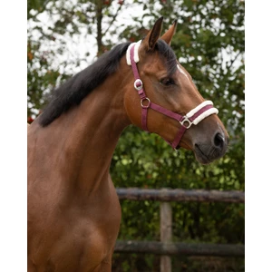 Q-essentials Head Collar Cali - Burgundy 