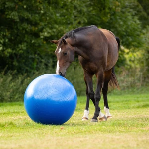 QHP Horse Football - 80-100Cm - Blue 