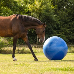 QHP Horse Football - 80-100Cm - Blue in Blue