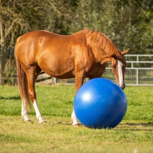 QHP Horse Football - 80-100Cm - Blue in Blue