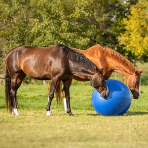 QHP Horse Football - 80-100Cm - Blue in Blue