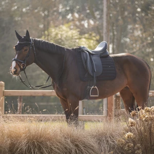 QHP Saddle pad Salerno - Black in Black