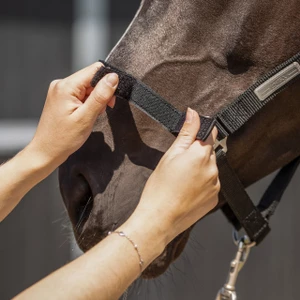 QHP Tack up halter - Black 