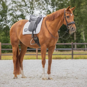 QHP Saddle pad Number - White in White