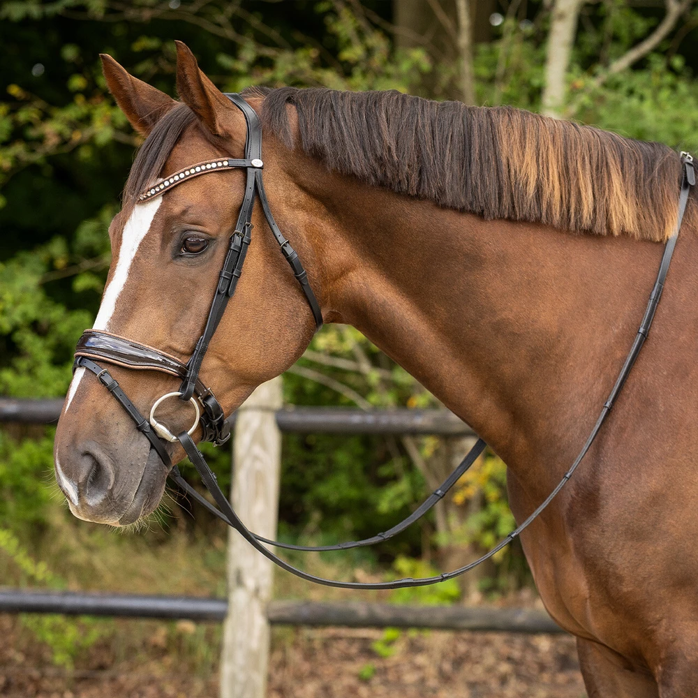 QHP Bridle Orlando - Black/Brown in Black/Brown