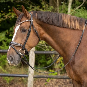 QHP Bridle Orlando - Black/Brown in Black/Brown