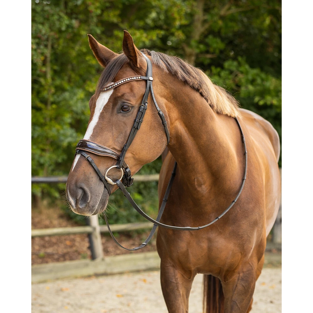 QHP Bridle Orlando - Black/Brown in Black/Brown