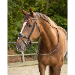 QHP Bridle Orlando - Black/Brown in Black/Brown