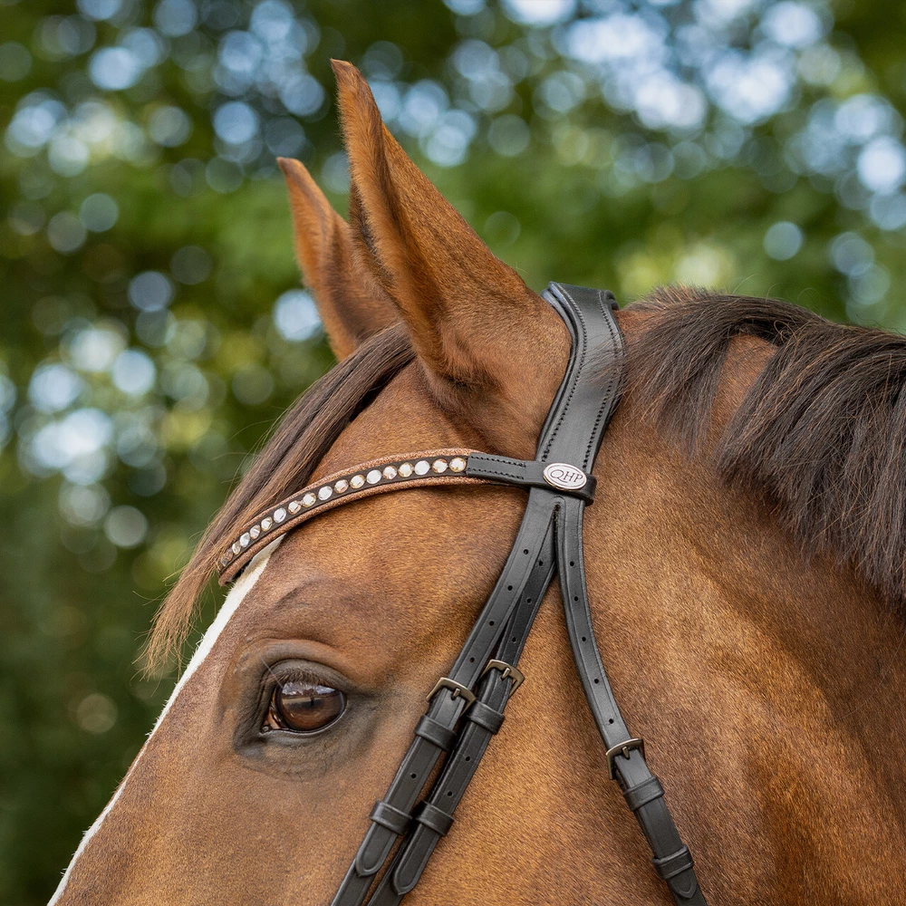 QHP Bridle Orlando - Black/Brown in Black/Brown