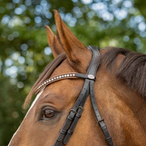 QHP Bridle Orlando - Black/Brown in Black/Brown