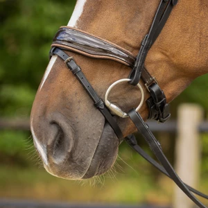 QHP Bridle Orlando - Black/Brown in Black/Brown