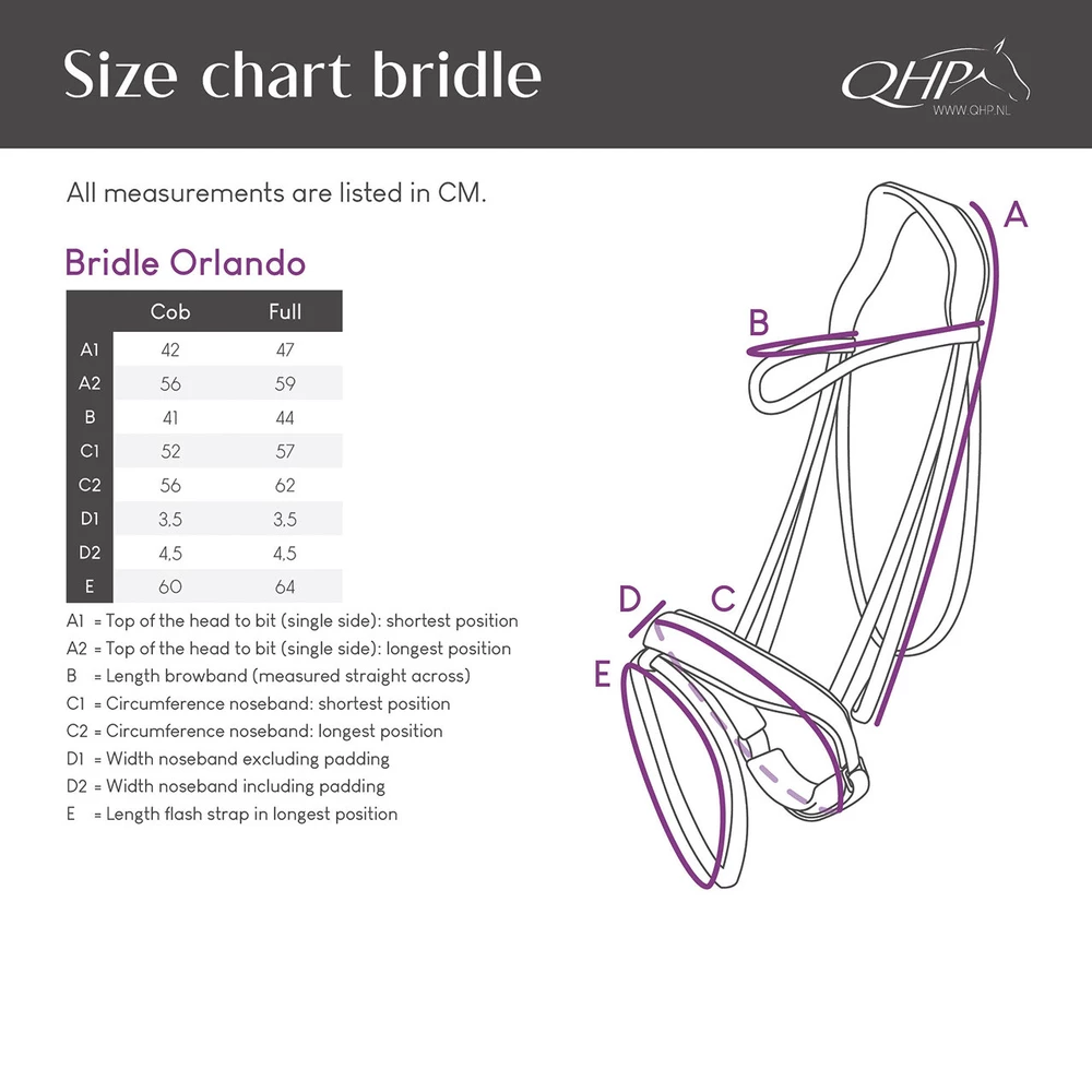 QHP Bridle Orlando - Black/Brown in Black/Brown