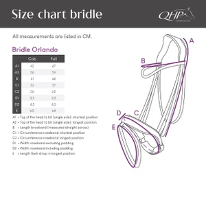 QHP Bridle Orlando - Black/Brown in Black/Brown