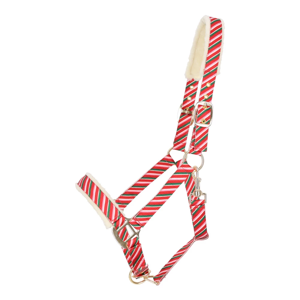QHP Head collar Christmas - Jolly Stripe in Jolly Stripe