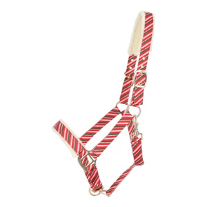 QHP Head collar Christmas - Jolly Stripe in Jolly Stripe