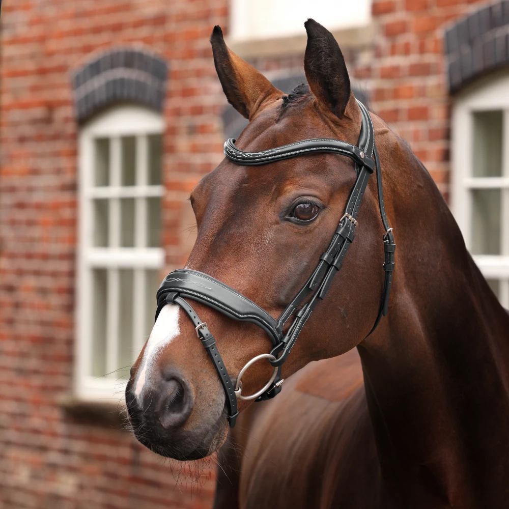Velociti LUSSO Opus 180M Dressage Flash Bridle - Black in Black