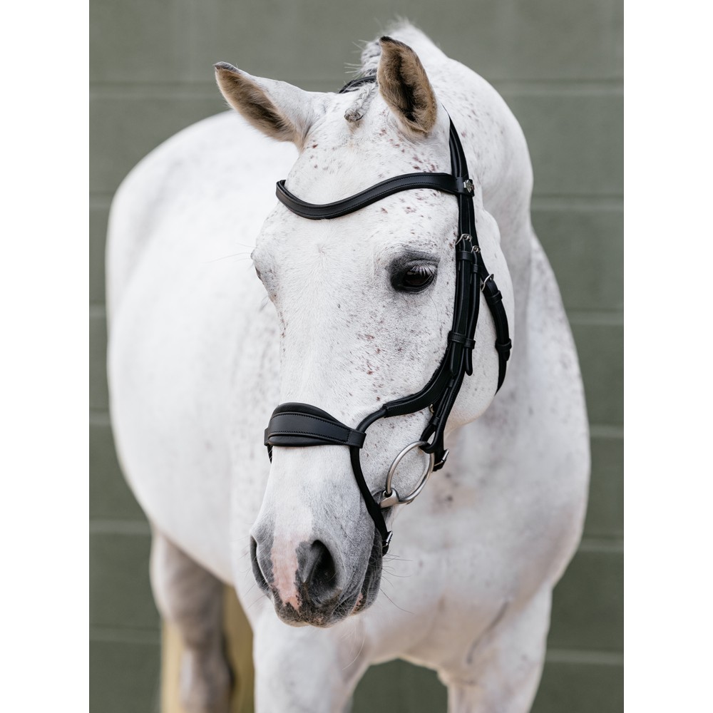 LeMieux Arika Adjustable Anatomic Noseband Bridle - Black/Silver