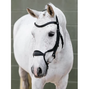LeMieux Arika Adjustable Anatomic Noseband Bridle - Black/Silver in Black/Silver