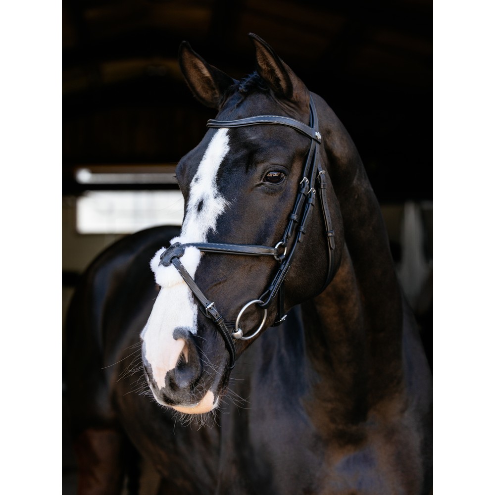 LeMieux Arika Grackle Bridle - Black/Silver