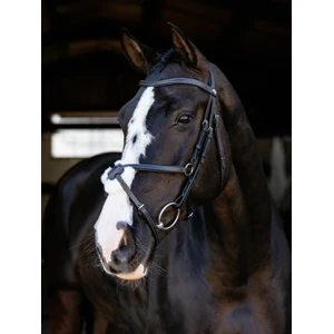 LeMieux Arika Grackle Bridle - Black/Silver in Black/Silver