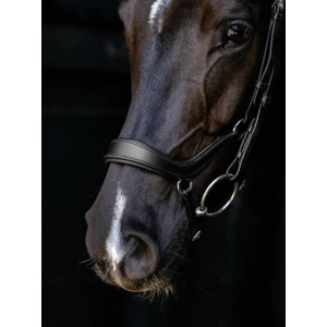 LeMieux Arika Drop Bridle - Black/Silver in Black/Silver