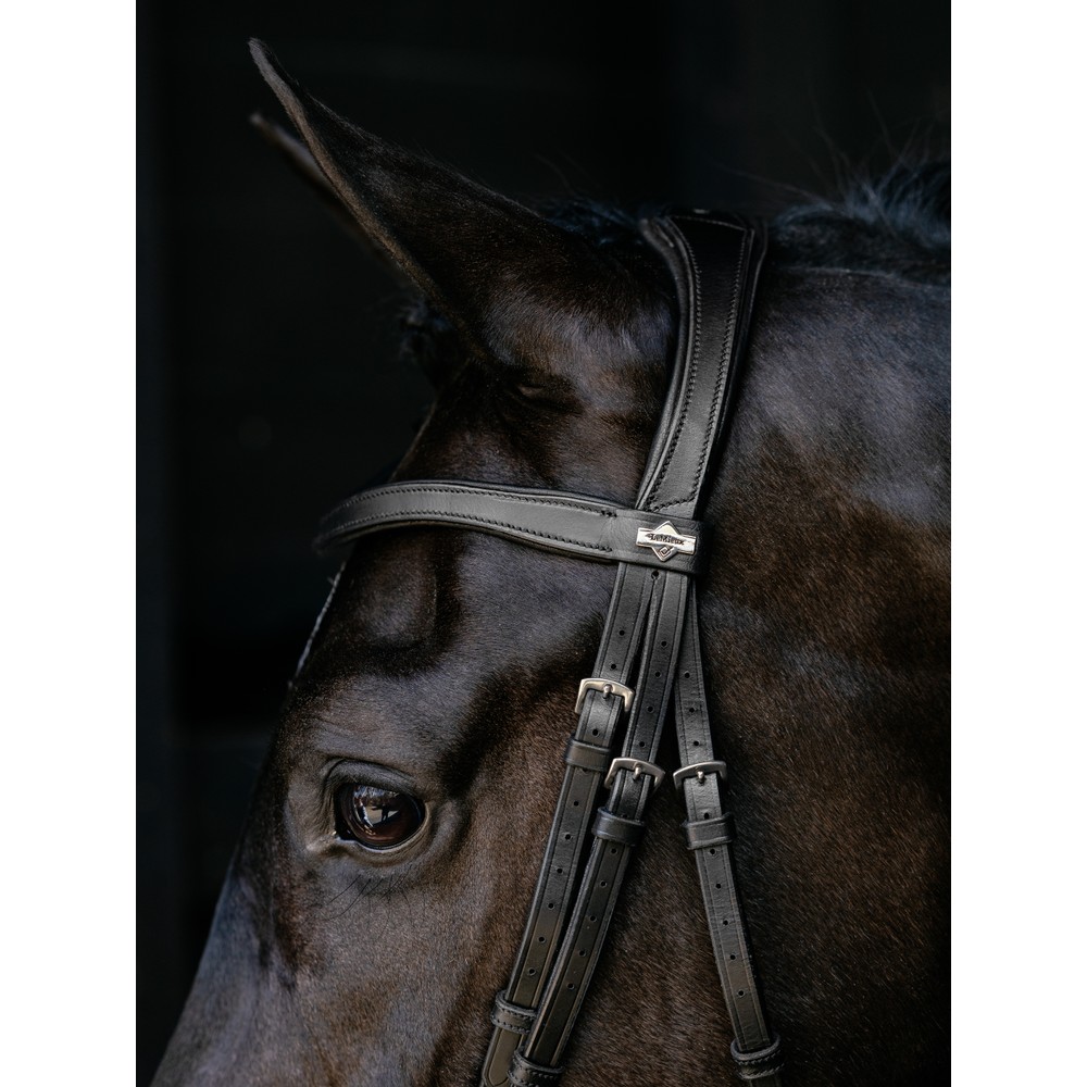 LeMieux Arika Drop Bridle - Black/Silver 