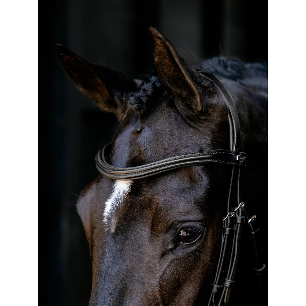 LeMieux Arika Cavesson Bridle - Black/Silver in Black/Silver