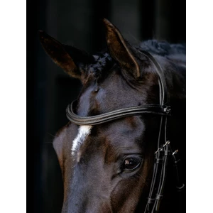LeMieux Arika Cavesson Bridle - Black/Silver in Black/Silver