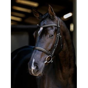 LeMieux Arika Cavesson Bridle - Black/Silver in Black/Silver