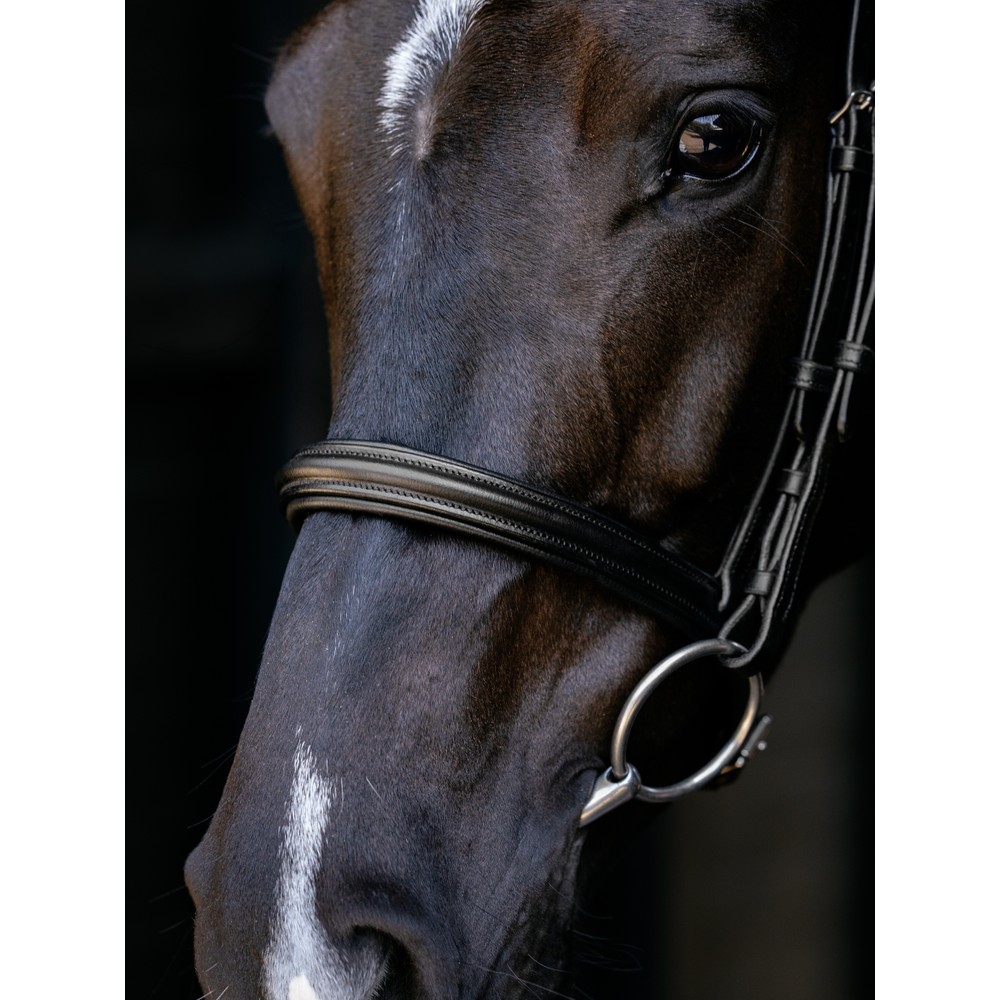 LeMieux Arika Cavesson Bridle - Black/Silver 