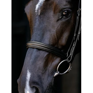 LeMieux Arika Cavesson Bridle - Black/Silver in Black/Silver