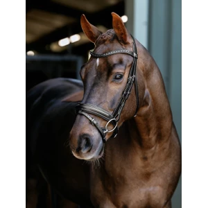 LeMieux Arika Dressage Bridle - Black/Silver in Black/Silver